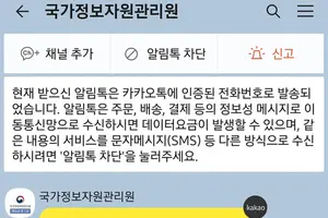 카톡 없으면 디지털플랫폼정부도 없나…"정부앱 활용" 의견 대두