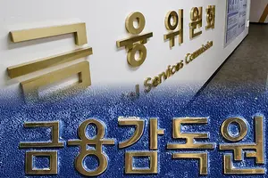 잇단 금융권 해킹에 정부 '화들짝'…보안체계 긴급 점검